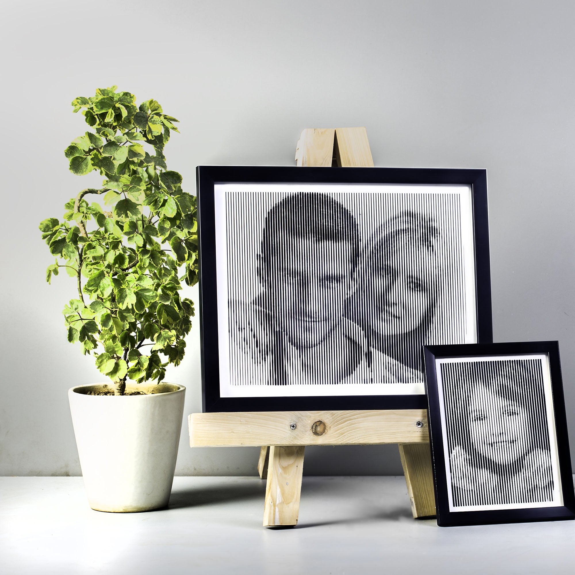 Black & White portrait with vertical line engraving