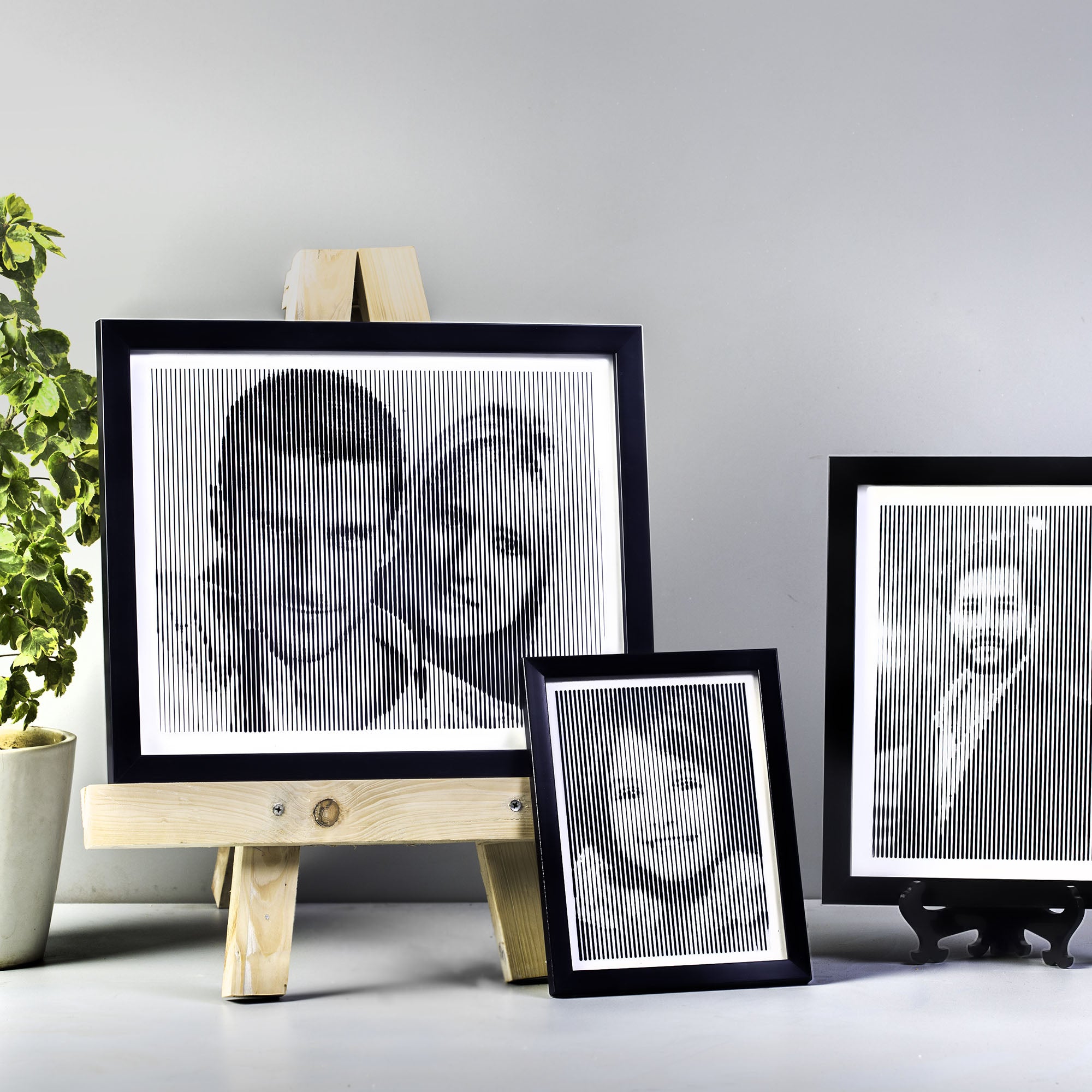 Black & White portrait with vertical line engraving